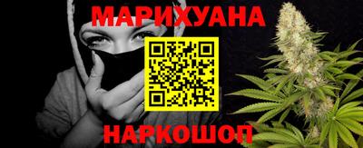 шишки Будённовск